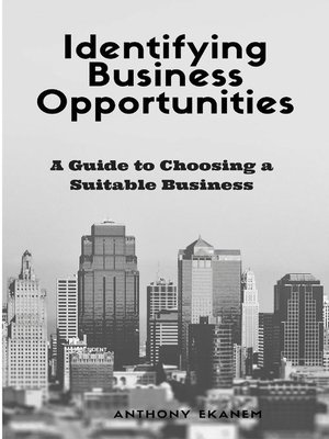 cover image of Identifying Business Opportunities